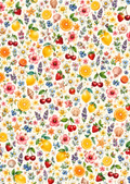 Feuilles de Transfert fruits