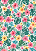 Feuilles de Transfert hibiscus