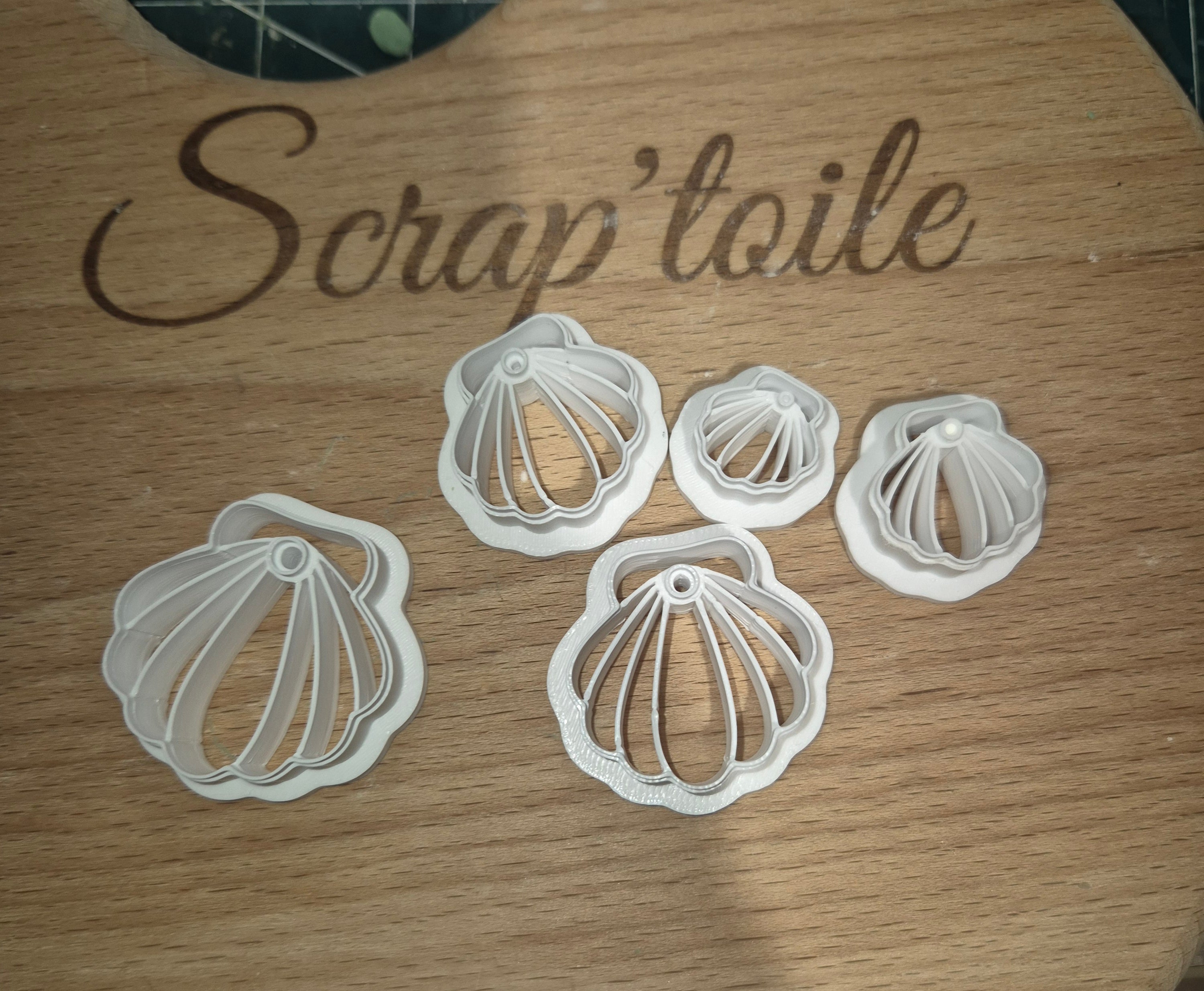 Coquillage 2