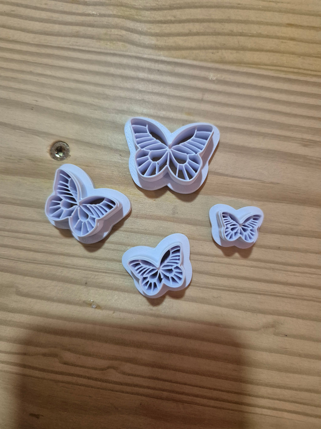 Papillon 2