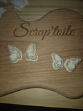 Papillon 3 grande taille