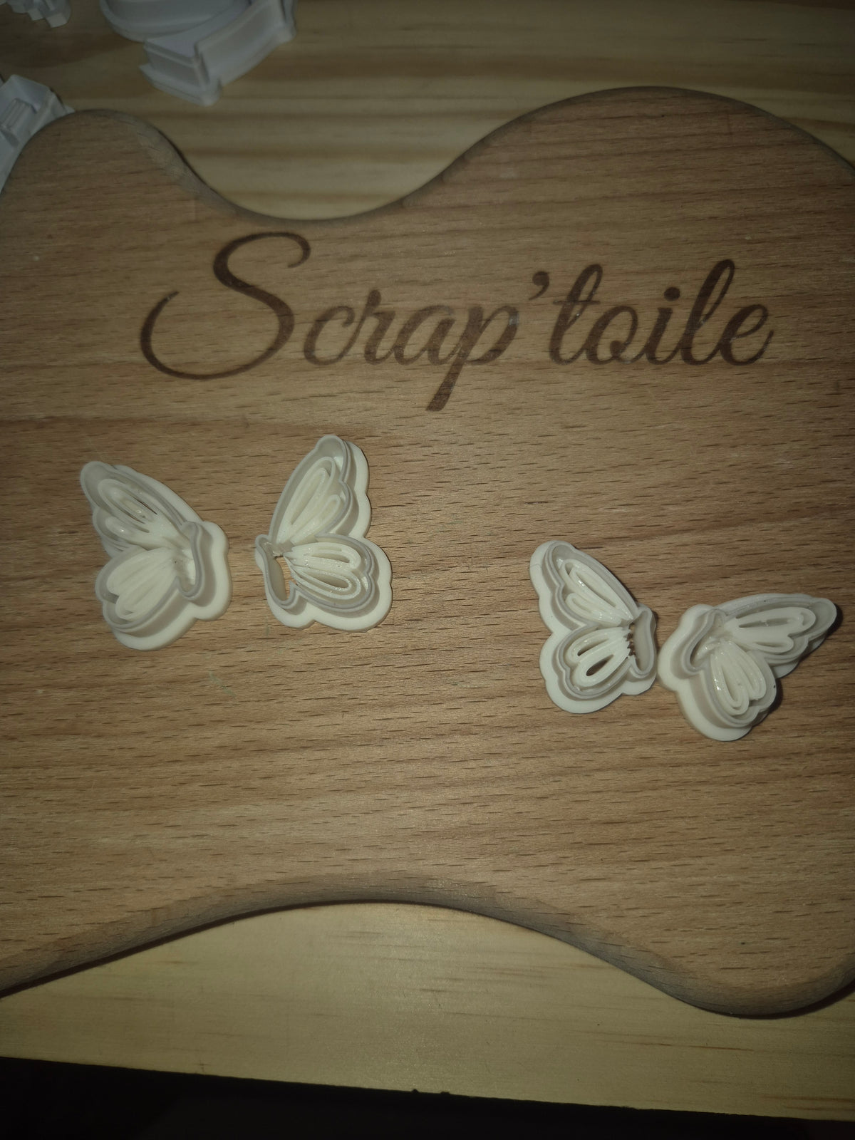 Papillon 3 grande taille