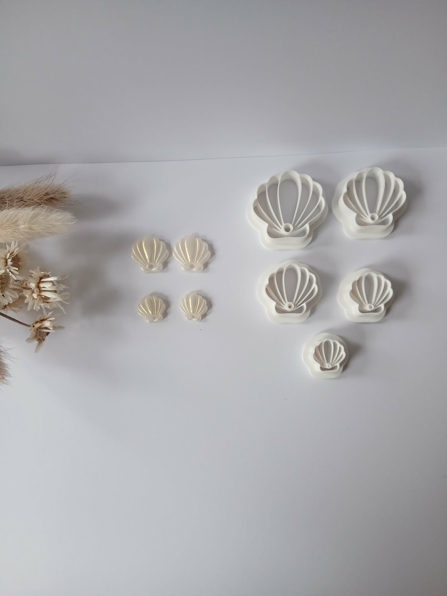 Coquillage 2