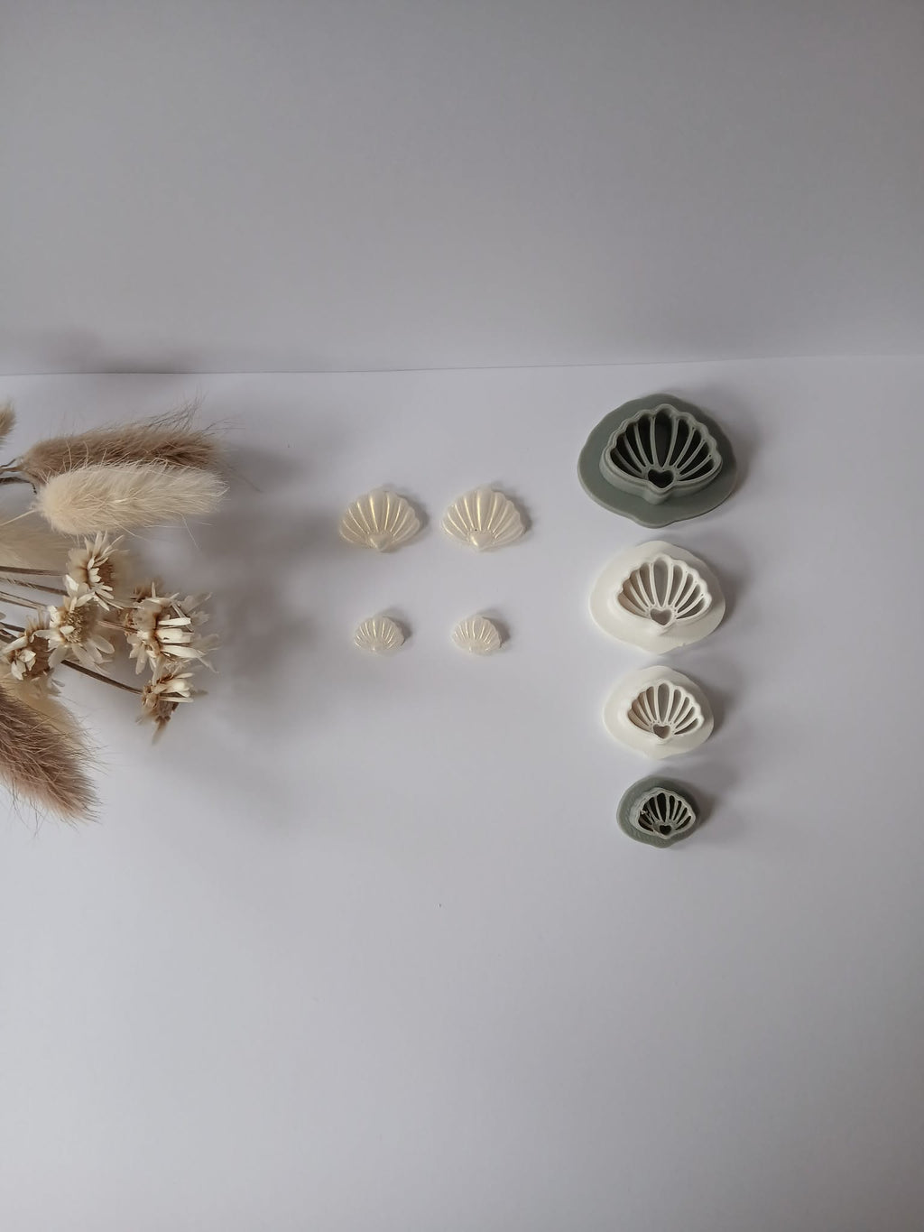 Coquillage 3