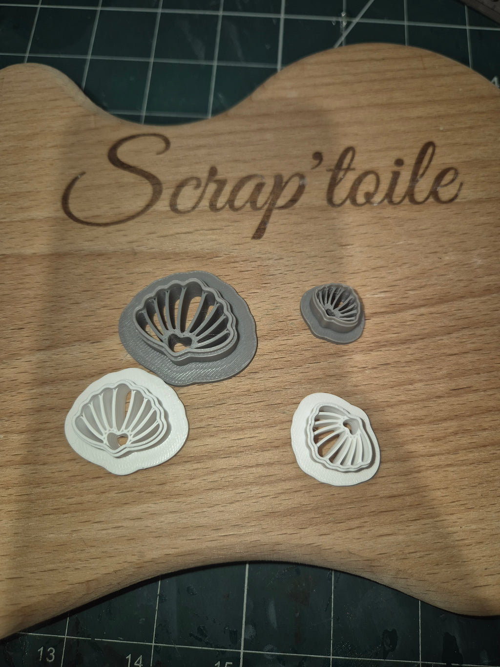 Coquillage 3