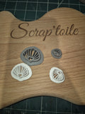 Coquillage 3