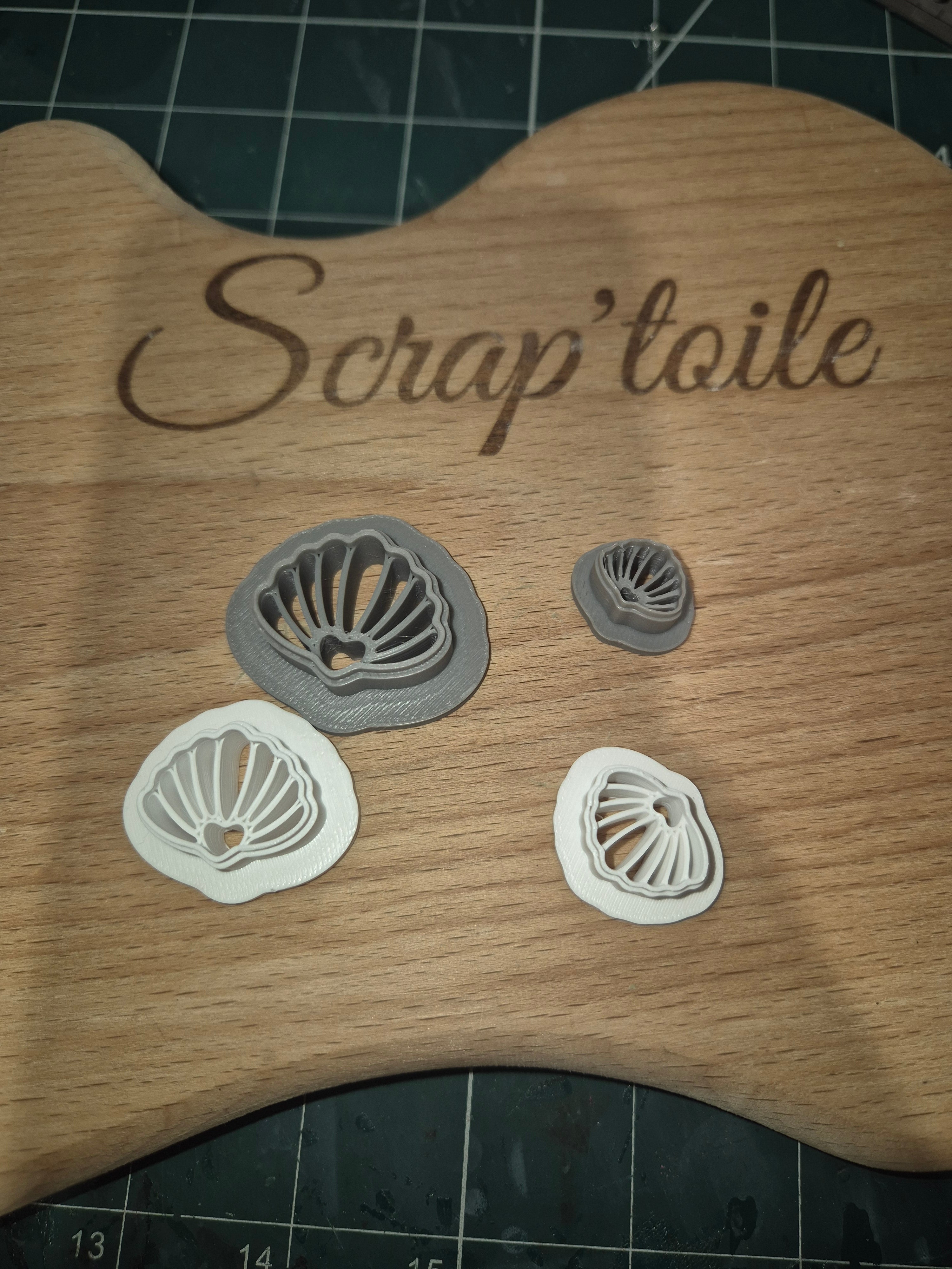 Coquillage 3