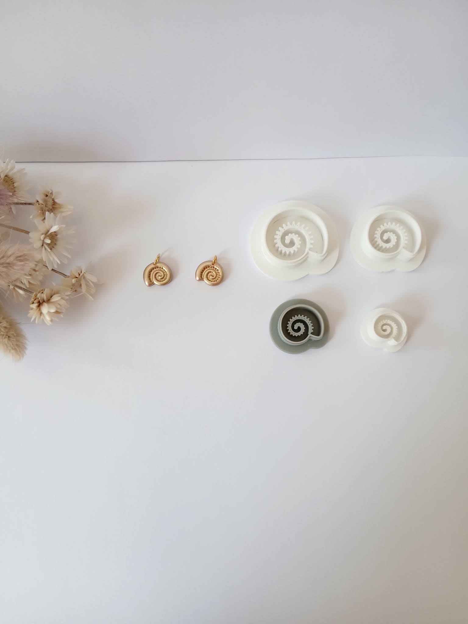 Coquillage 4